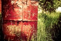 观看《培根随笔》的优秀观后感300字