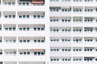 《傅雷家书》的优秀观后感作文300字