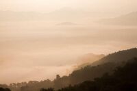 [歇后语]袜筒改护腕