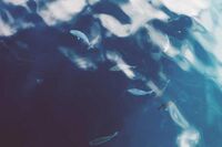 [歇后语]做贼碰上劫路人