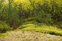 [歇后语]做生意讲信誉