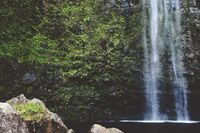 [歇后语]牛嘴上套篾篓