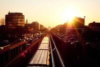 [歇后语]见了兔子才放鹰