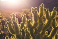 [初一作文]初中生[初一作文]我居住的城市(400字)