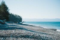 被阳光狠狠的刺痛