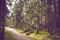 漫画启示满分作文五年级10篇