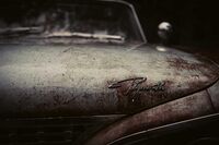 [歇后语]猪大肠