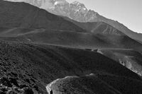 [教育论文][案例]情绪失控杀人案例4篇