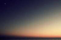 [体育教案][策划书]体育文化节策划书