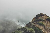 看大圣归来电影最新观后感700字