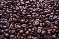 [教育论文][策划书]足球联赛策划书