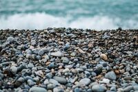 [体育教案][日记]中学体育研修日志4篇