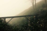 [歇后语]小鼎锅想炖大牛头